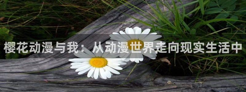 volcanicage漫画：樱花动漫与我：从动漫世界走向现实生活中