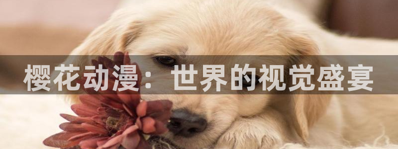 kakaopage韩漫官网