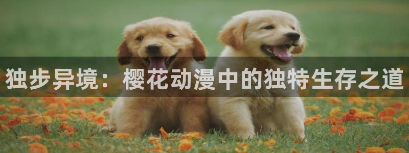 香蕉漫画下载入口