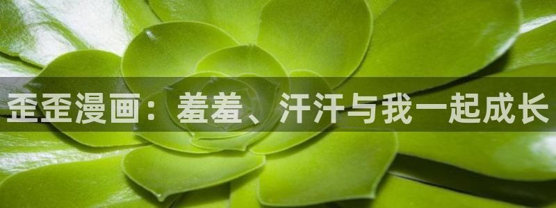 拷贝漫画 copymanager.ory网站