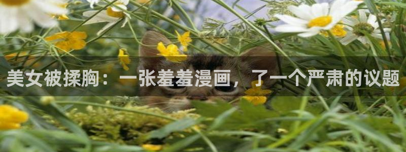 香蕉漫画网官网入口：美女被揉胸：一张羞羞漫画，了一个严肃的议题
