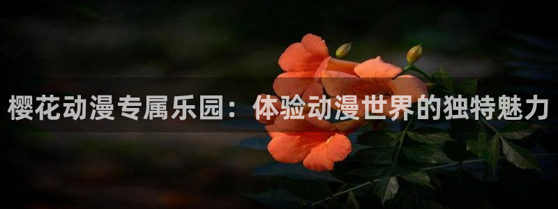 香蕉漫画官网入口老版本