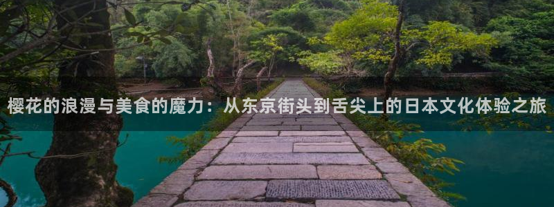 在线动画动漫下载香蕉漫画：樱花的浪漫与美食的魔力：从东京街头到舌尖上的日本文化体验之旅